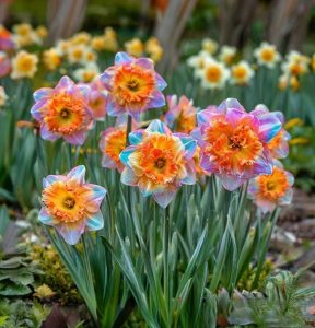 Нарцисс Айвери Дон купить по цене от 3000р. в интернет-магазине «Посадика» с доставкой почтой в в Глазове и по всей России – [изображение №1].